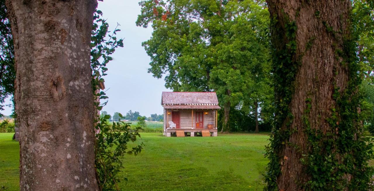 Belmont Plantation, Est 1857 Bed and Breakfast Greenville Esterno foto